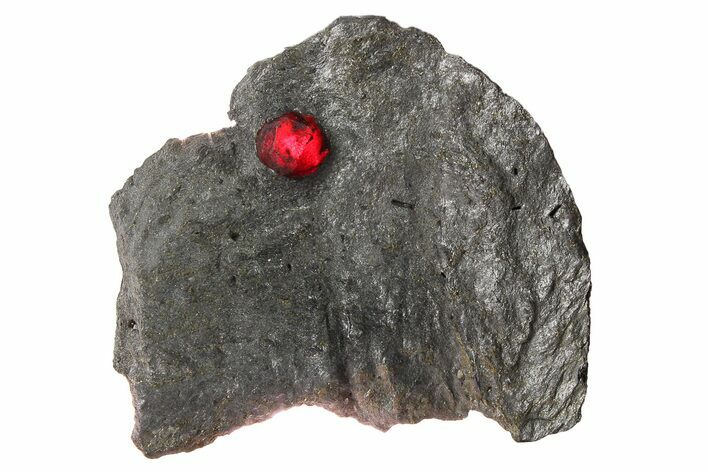 Red Embers Garnet in Graphite - Massachusetts #272769